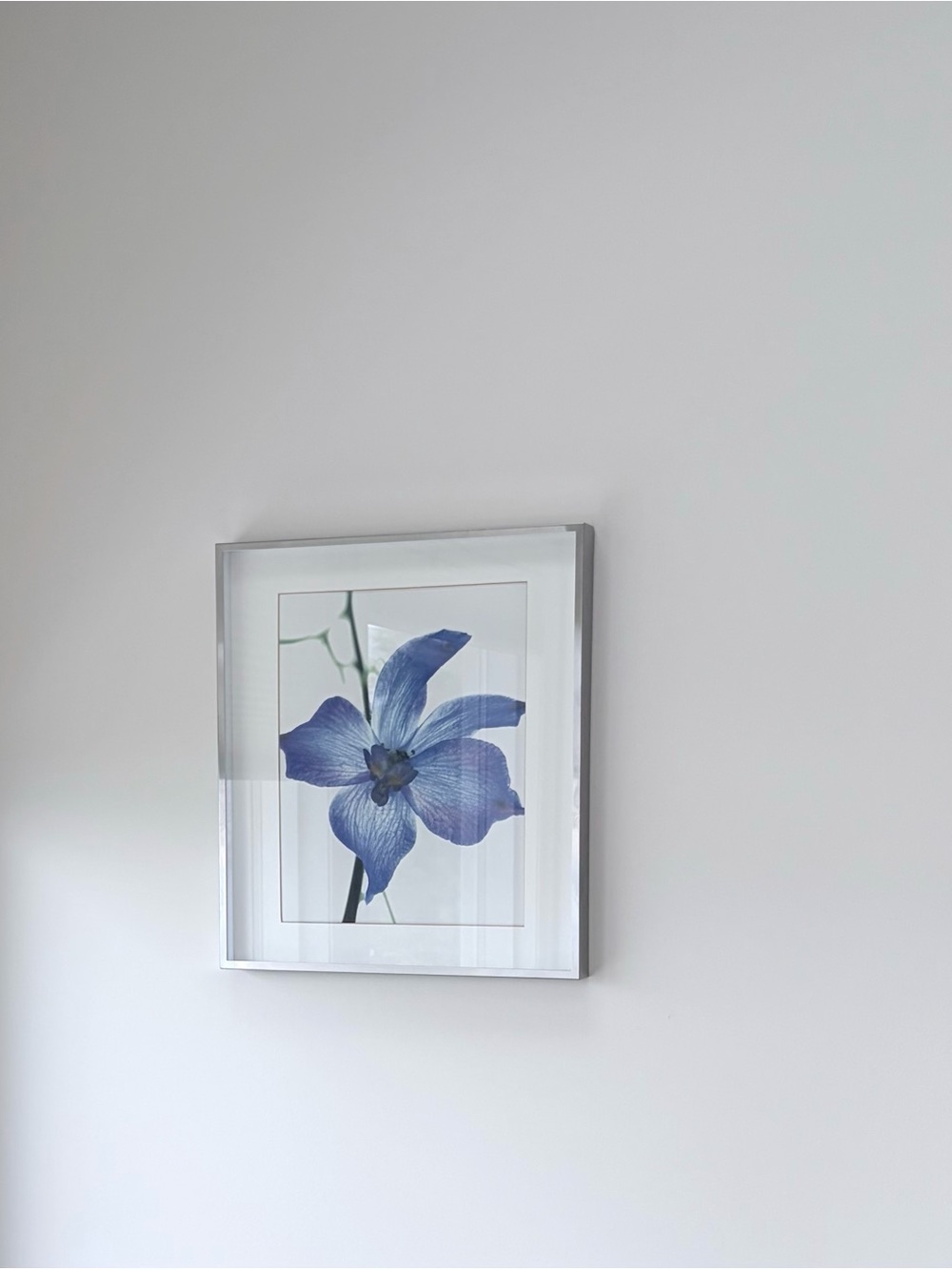 FABULOUS Floral Wall Art Print in Silver Frame